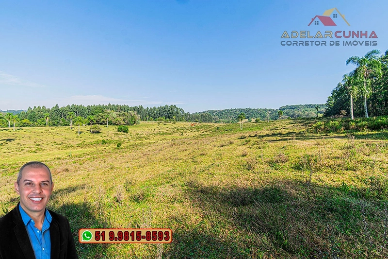 Sítio de 41.8 hectares à VENDA em Taquara - RS: 9ª foto da galeria de imagens do imóvel