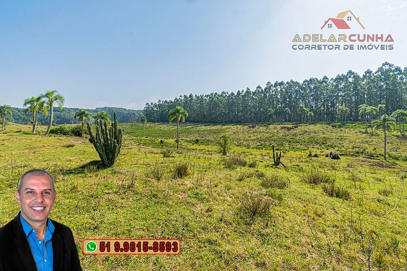 Sítio de 41.8 hectares à VENDA em Taquara - RS: 60ª foto da galeria de imagens do imóvel