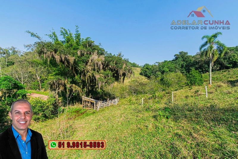 Sítio de 41.8 hectares à VENDA em Taquara - RS: 31ª foto da galeria de imagens do imóvel