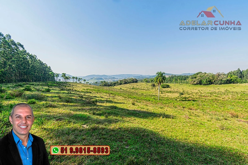 Sítio de 41.8 hectares à VENDA em Taquara - RS: 12ª foto da galeria de imagens do imóvel