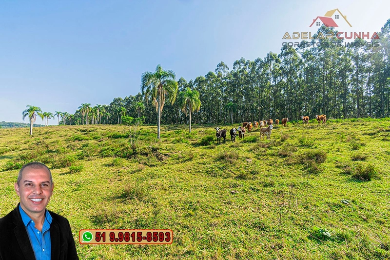 Sítio de 41.8 hectares à VENDA em Taquara - RS: 4ª foto da galeria de imagens do imóvel