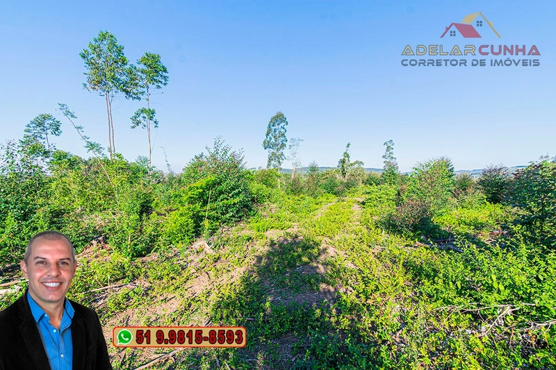 Sítio de 3.5 hectares à Venda em Araricá - RS: 31ª foto da galeria de imagens do imóvel