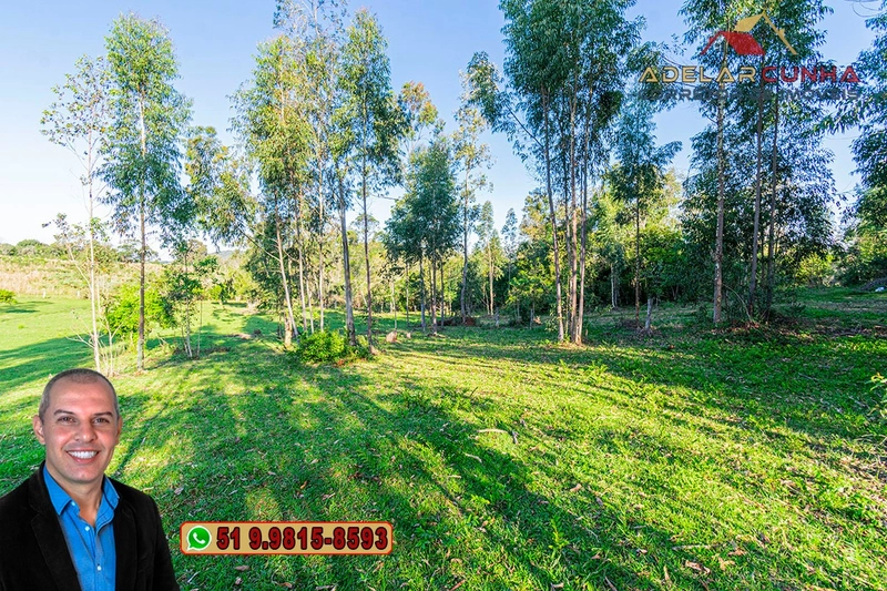 Sítio de 3.5 hectares à Venda em Araricá - RS: 11ª foto da galeria de imagens do imóvel