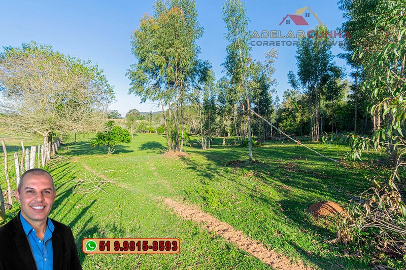 Sítio de 3.5 hectares à Venda em Araricá - RS: 9ª foto da galeria de imagens do imóvel