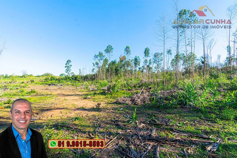 Sítio de 3.5 hectares à Venda em Araricá - RS: 22ª foto da galeria de imagens do imóvel