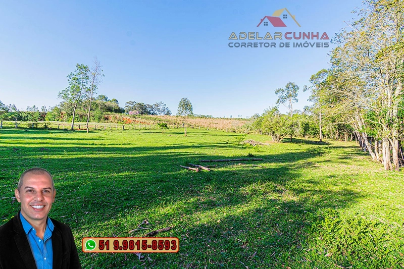Sítio de 3.5 hectares à Venda em Araricá - RS: 6ª foto da galeria de imagens do imóvel