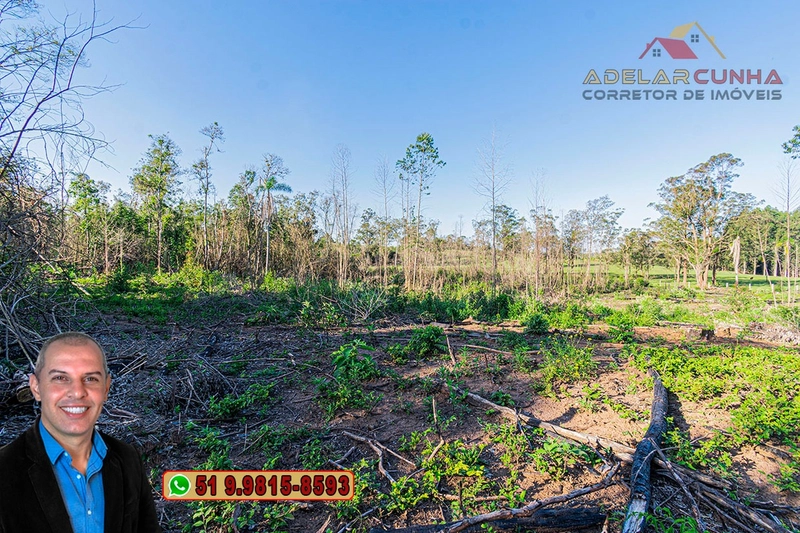 Sítio de 3.5 hectares à Venda em Araricá - RS: 19ª foto da galeria de imagens do imóvel