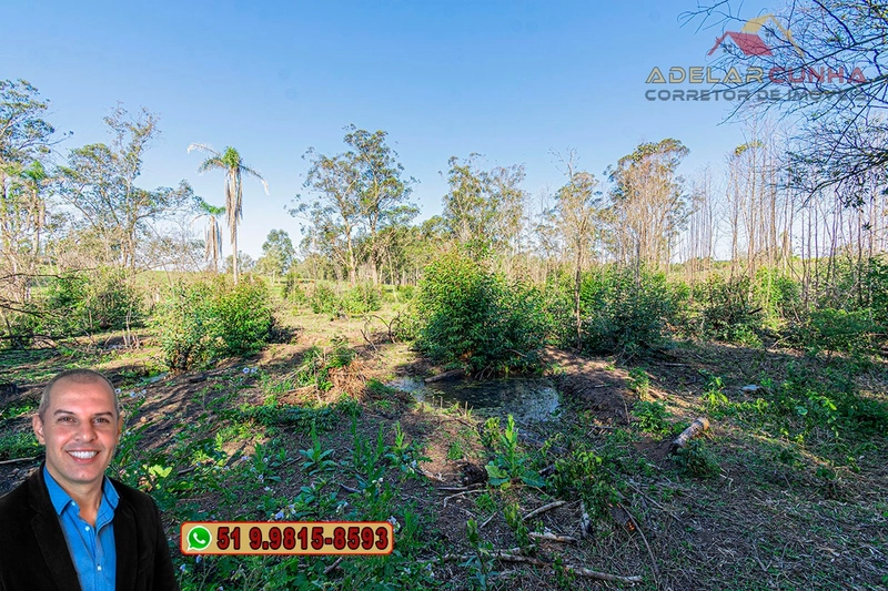 Sítio de 3.5 hectares à Venda em Araricá - RS: 16ª foto da galeria de imagens do imóvel