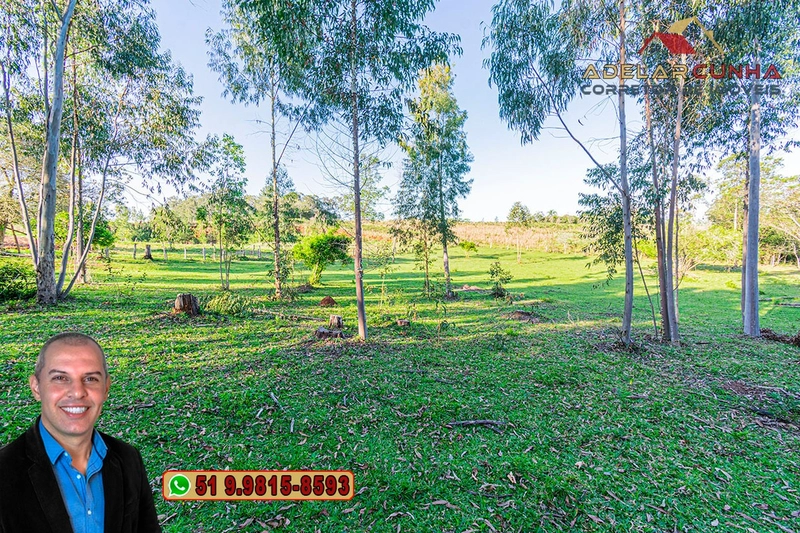 Sítio de 3.5 hectares à Venda em Araricá - RS: 12ª foto da galeria de imagens do imóvel