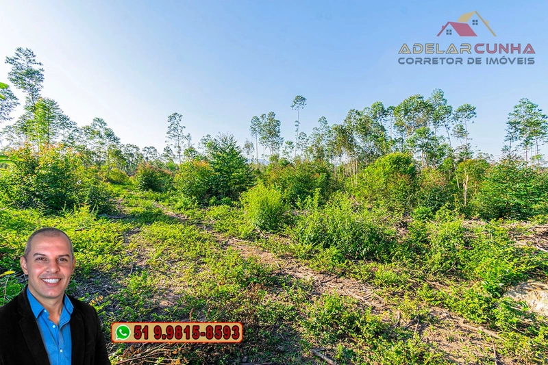 Sítio de 3.5 hectares à Venda em Araricá - RS: 29ª foto da galeria de imagens do imóvel