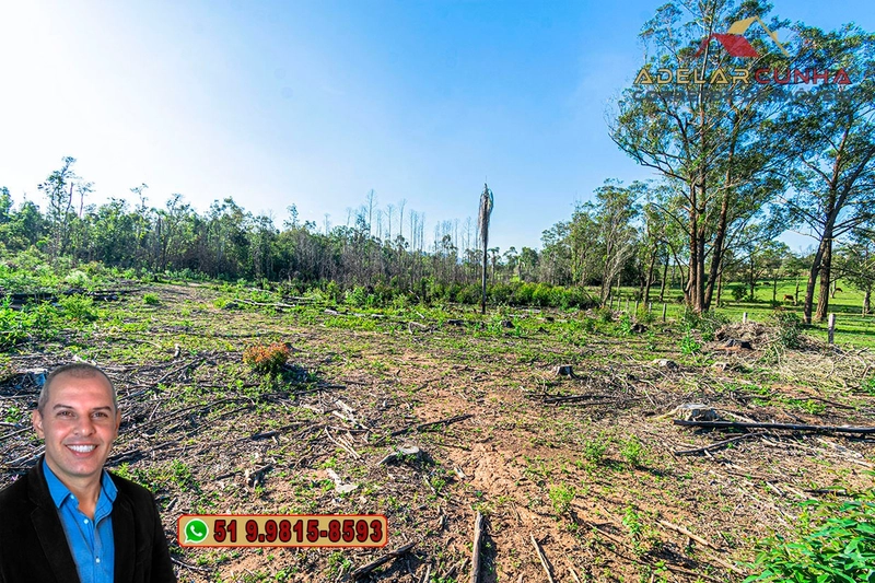 Sítio de 3.5 hectares à Venda em Araricá - RS: 18ª foto da galeria de imagens do imóvel