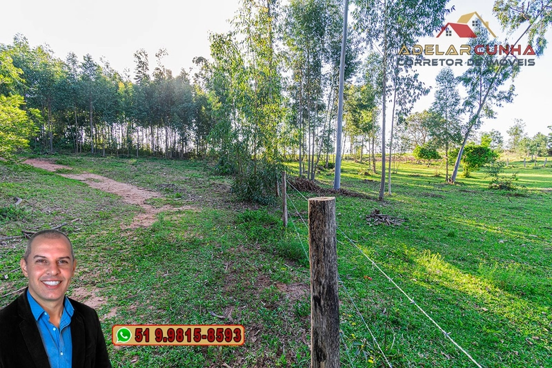 Sítio de 3.5 hectares à Venda em Araricá - RS: 13ª foto da galeria de imagens do imóvel