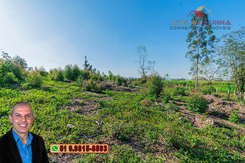 Sítio de 3.5 hectares à Venda em Araricá - RS: 2ª foto da galeria de imagens do imóvel