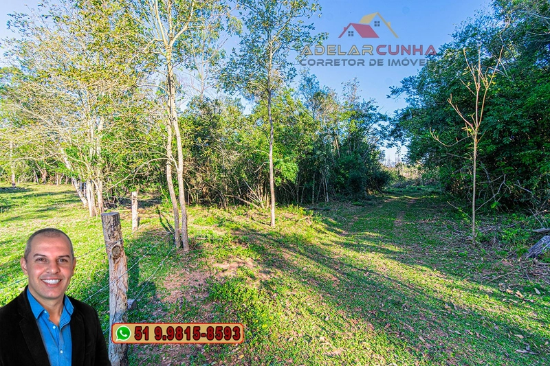 Sítio de 3.5 hectares à Venda em Araricá - RS: 5ª foto da galeria de imagens do imóvel