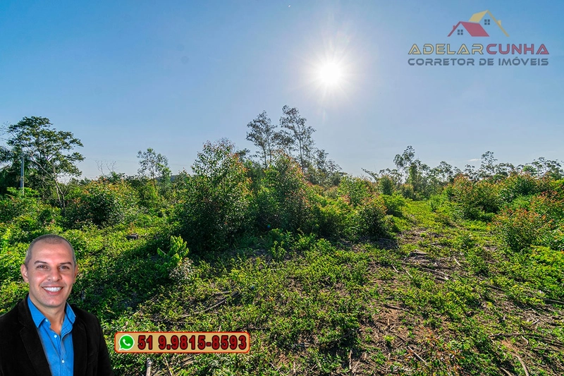 Sítio de 3.5 hectares à Venda em Araricá - RS: 24ª foto da galeria de imagens do imóvel