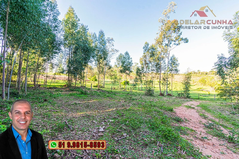 Sítio de 3.5 hectares à Venda em Araricá - RS: 14ª foto da galeria de imagens do imóvel