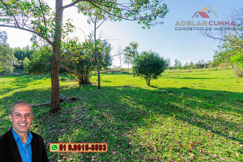Sítio de 3.5 hectares à Venda em Araricá - RS: 8ª foto da galeria de imagens do imóvel