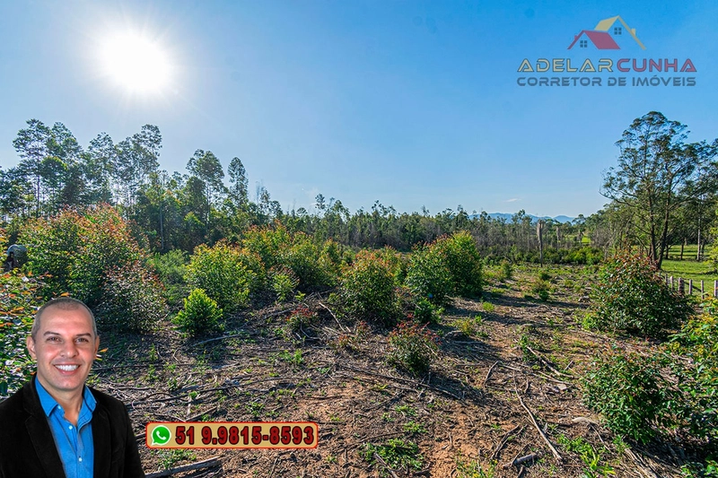 Sítio de 3.5 hectares à Venda em Araricá - RS: 25ª foto da galeria de imagens do imóvel