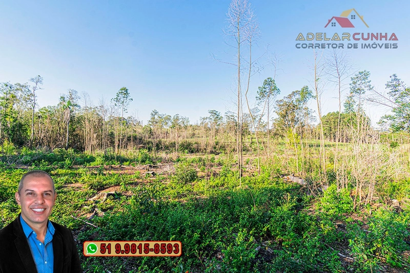 Sítio de 3.5 hectares à Venda em Araricá - RS: 21ª foto da galeria de imagens do imóvel
