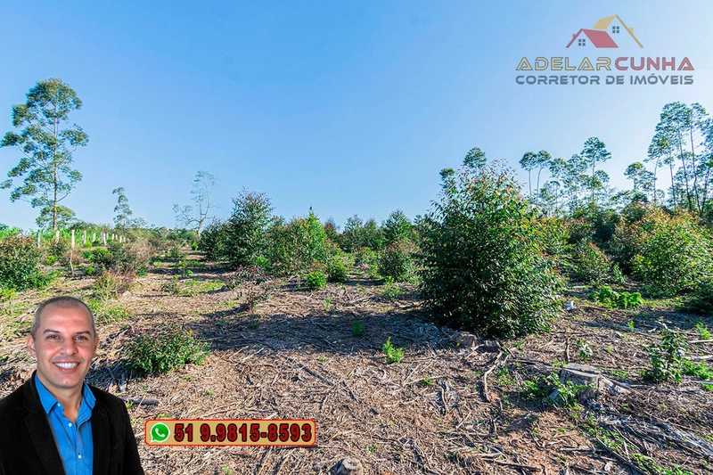 Sítio de 3.5 hectares à Venda em Araricá - RS: 27ª foto da galeria de imagens do imóvel