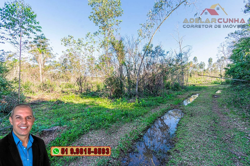 Sítio de 3.5 hectares à Venda em Araricá - RS: 15ª foto da galeria de imagens do imóvel