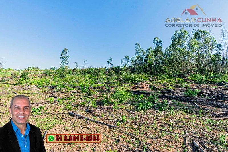 Sítio de 3.5 hectares à Venda em Araricá - RS: 23ª foto da galeria de imagens do imóvel