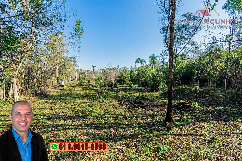Sítio de 3.5 hectares à Venda em Araricá - RS: 17ª foto da galeria de imagens do imóvel