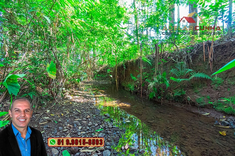 Sítio à Venda em Santo Antônio da Patrulha: 8ª foto da galeria de imagens do imóvel