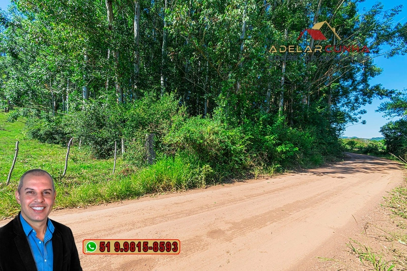 Sítio à Venda em Santo Antônio da Patrulha: 1ª foto da galeria de imagens do imóvel