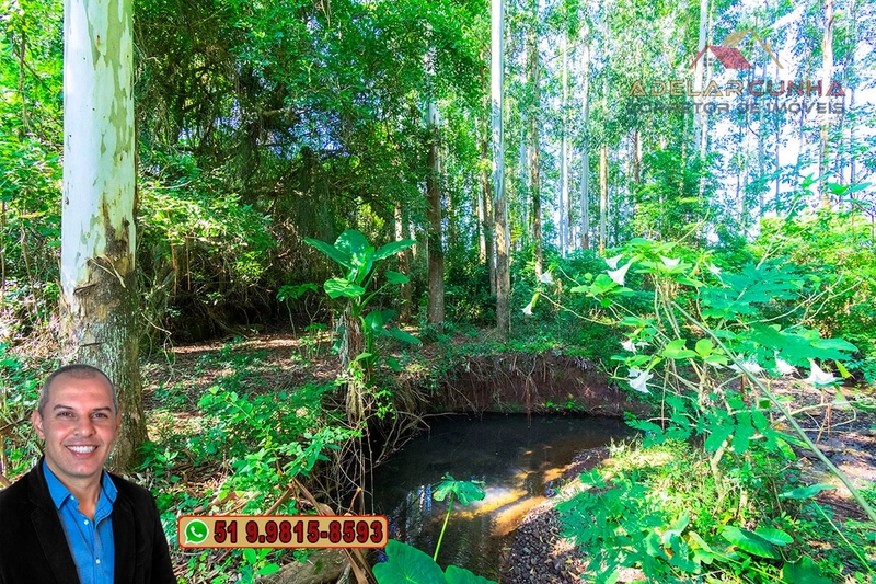 Sítio à Venda em Santo Antônio da Patrulha: 4ª foto da galeria de imagens do imóvel