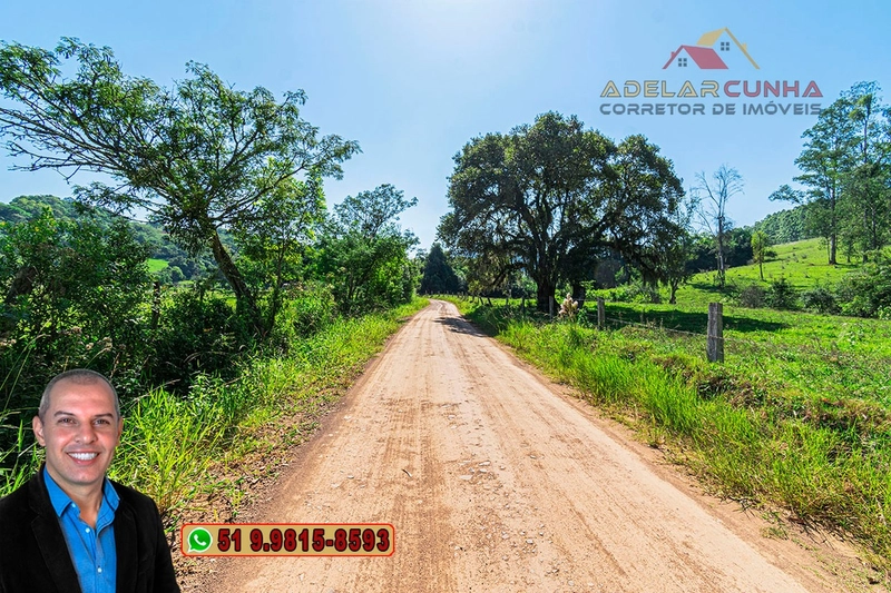 Sítio à Venda em Santo Antônio da Patrulha: 40ª foto da galeria de imagens do imóvel