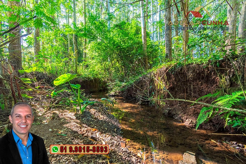 Sítio à Venda em Santo Antônio da Patrulha: 10ª foto da galeria de imagens do imóvel