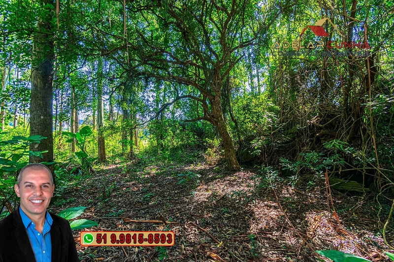 Sítio à Venda em Santo Antônio da Patrulha: 3ª foto da galeria de imagens do imóvel