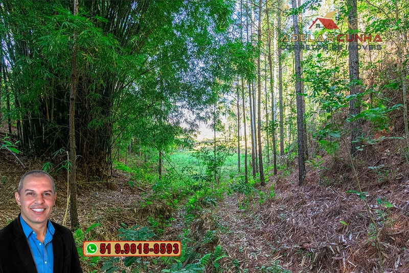 Sítio à Venda em Santo Antônio da Patrulha: 15ª foto da galeria de imagens do imóvel
