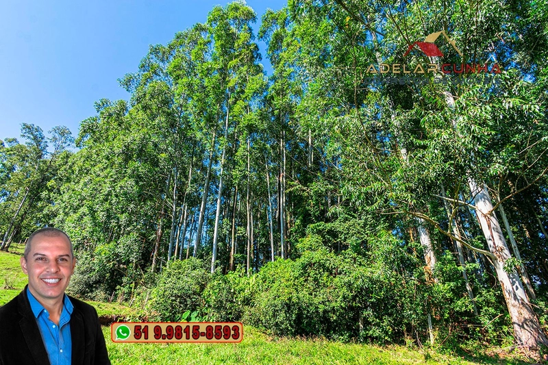 Sítio à Venda em Santo Antônio da Patrulha: 2ª foto da galeria de imagens do imóvel