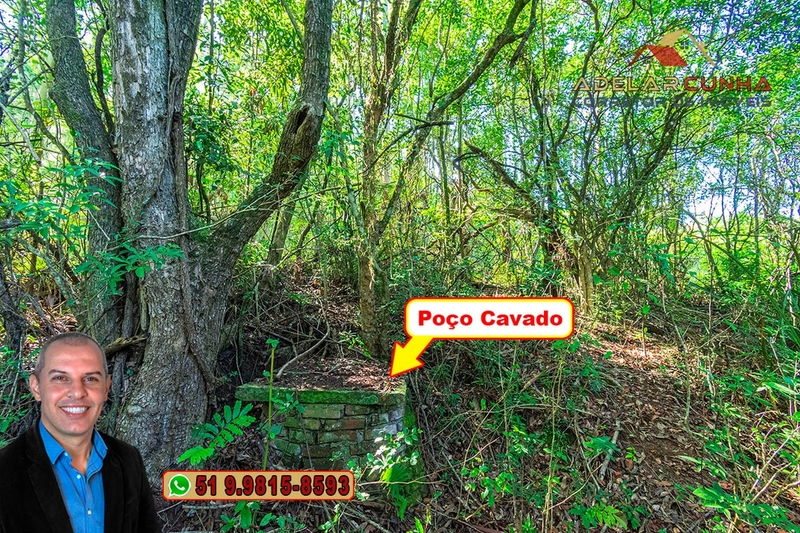 Sítio à Venda em Santo Antônio da Patrulha: 32ª foto da galeria de imagens do imóvel