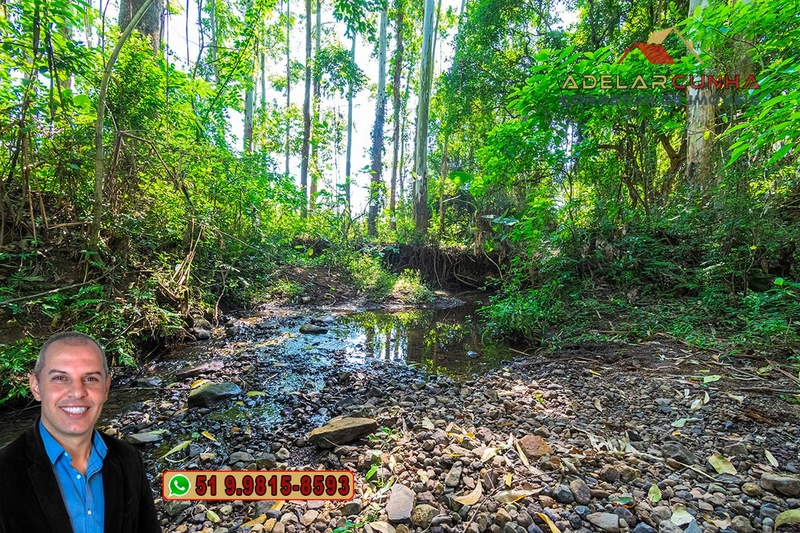 Sítio à Venda em Santo Antônio da Patrulha: 5ª foto da galeria de imagens do imóvel