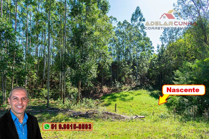 Sítio à Venda em Santo Antônio da Patrulha: 14ª foto da galeria de imagens do imóvel