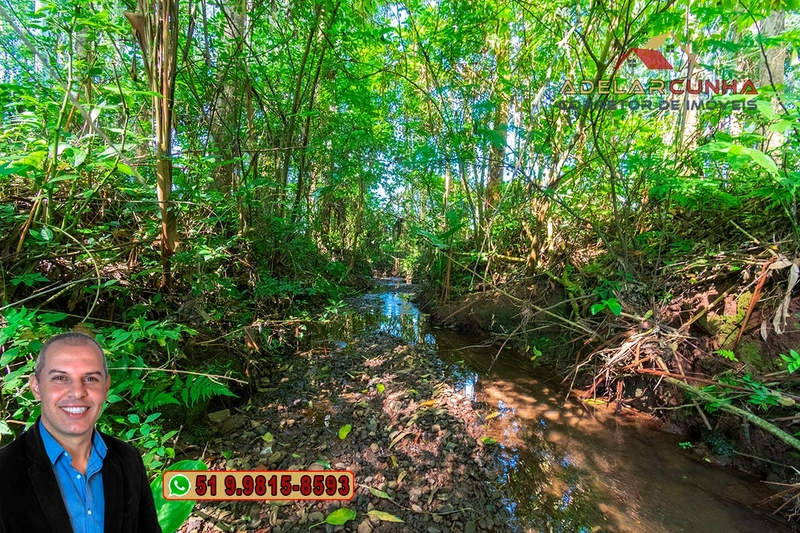 Sítio à Venda em Santo Antônio da Patrulha: 6ª foto da galeria de imagens do imóvel