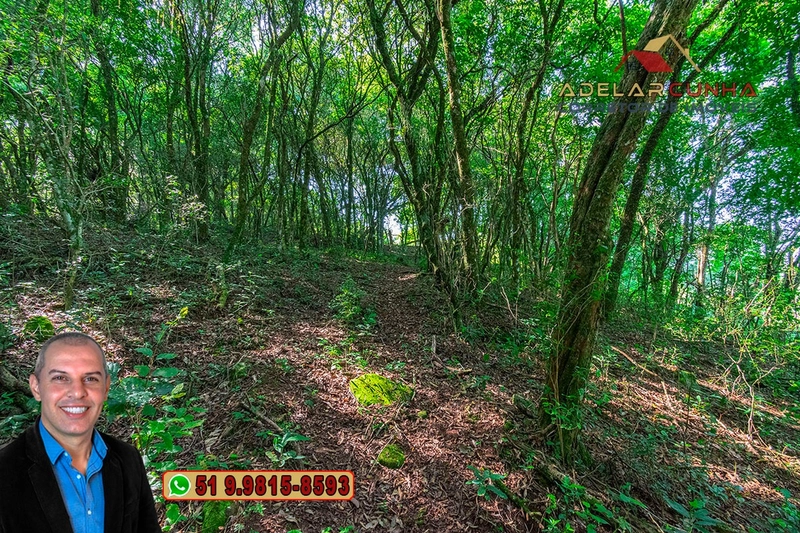 Sítio à Venda em Santo Antônio da Patrulha: 30ª foto da galeria de imagens do imóvel