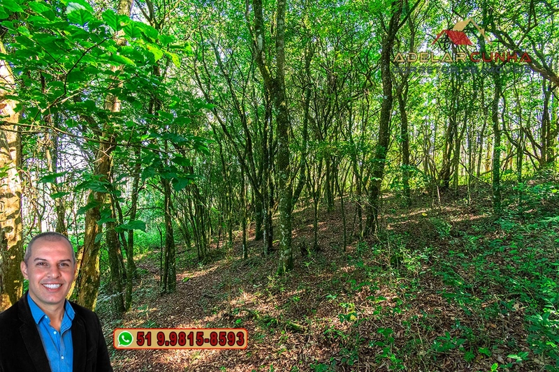 Sítio à Venda em Santo Antônio da Patrulha: 31ª foto da galeria de imagens do imóvel