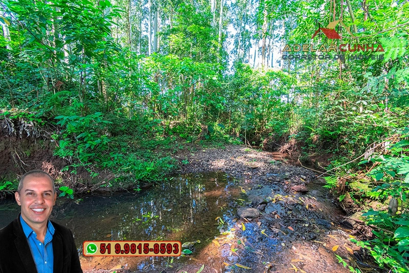 Sítio à Venda em Santo Antônio da Patrulha: 7ª foto da galeria de imagens do imóvel