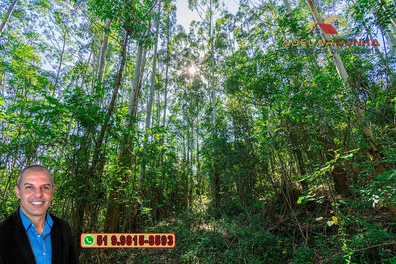 Sítio à Venda em Santo Antônio da Patrulha: 25ª foto da galeria de imagens do imóvel