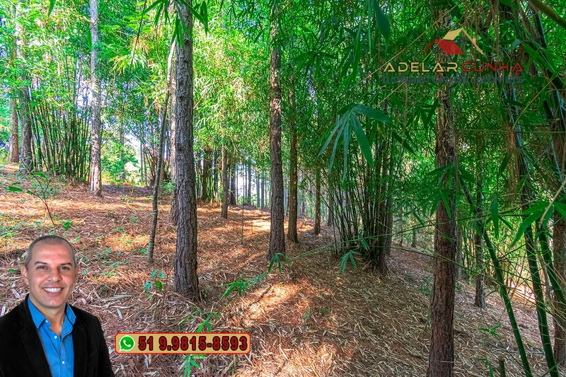 Sítio à Venda em Santo Antônio da Patrulha: 17ª foto da galeria de imagens do imóvel