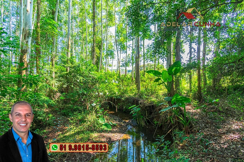 Sítio à Venda em Santo Antônio da Patrulha: 9ª foto da galeria de imagens do imóvel