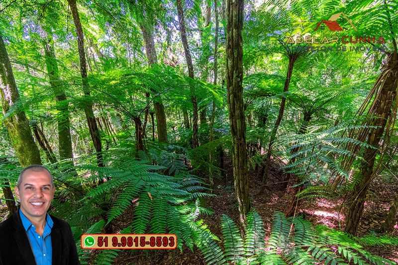 Sítio 5.8 hectares à VENDA em Gramado - RS: 59ª foto da galeria de imagens do imóvel