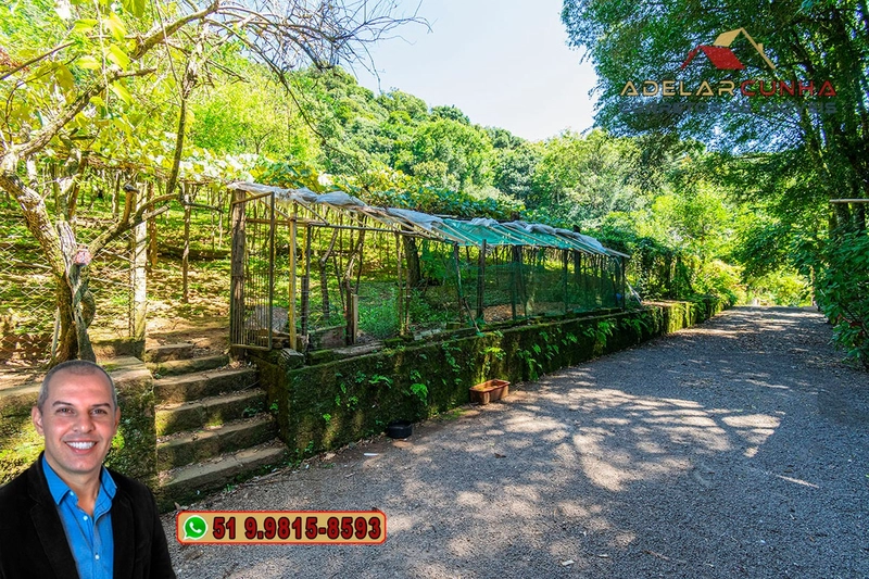 Sítio 5.8 hectares à VENDA em Gramado - RS: 6ª foto da galeria de imagens do imóvel