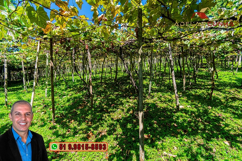 Sítio 5.8 hectares à VENDA em Gramado - RS: 23ª foto da galeria de imagens do imóvel