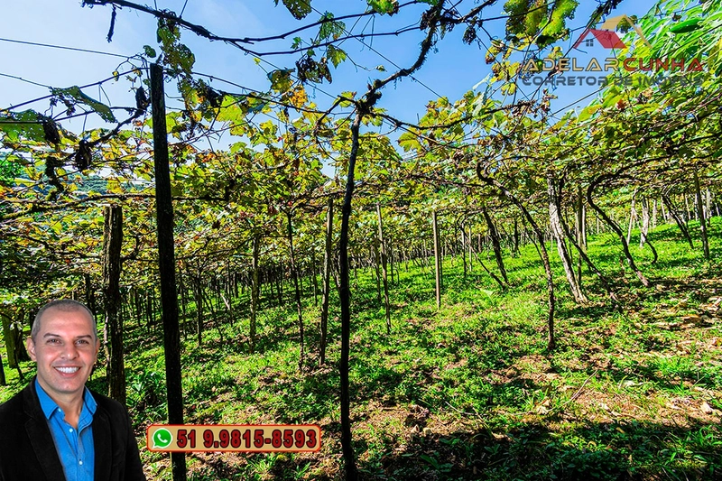 Sítio 5.8 hectares à VENDA em Gramado - RS: 24ª foto da galeria de imagens do imóvel