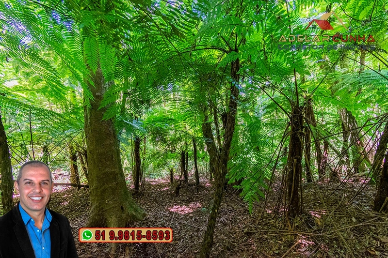 Sítio 5.8 hectares à VENDA em Gramado - RS: 58ª foto da galeria de imagens do imóvel